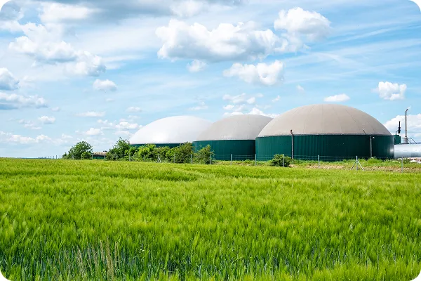 Biomass Gasification